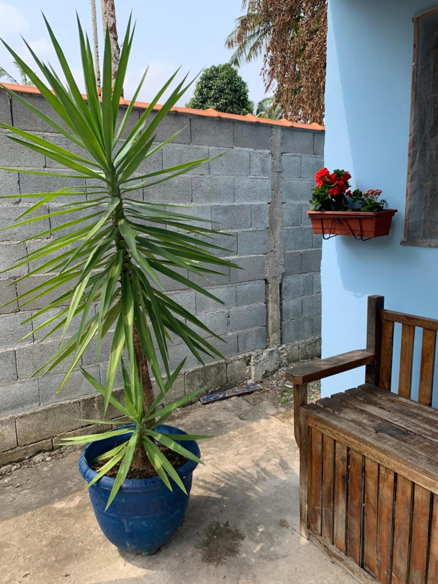 Casa Litoral Sul de São Paulo, Peruibe Itariri Exterior foto